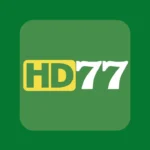 HD 77 Game