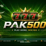 Pak 500 Game