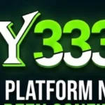 Y333 Game