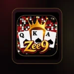ZEE9 game APK