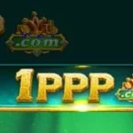 1PPP Game