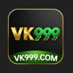 VK 999 game