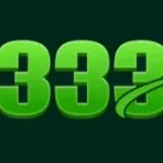 BB 333 Game