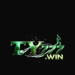 TY 777 game
