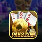 Pak 3 Game