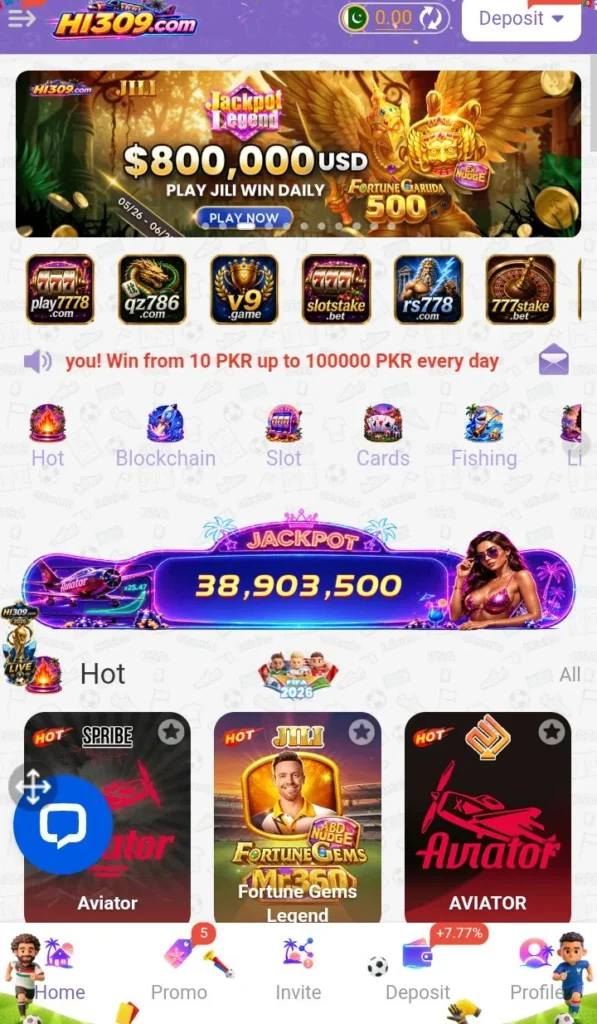 HI 309 Game