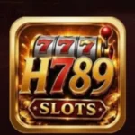 H 789 Game